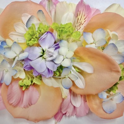 Soft Pastels