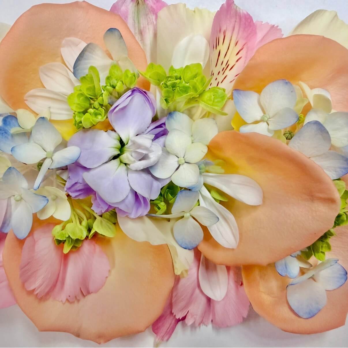Soft Pastels