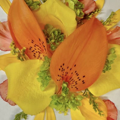 Citrus & Sunshine