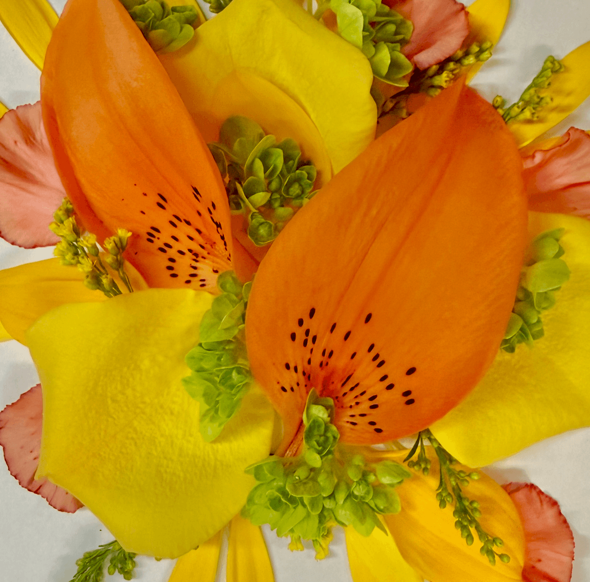 Citrus & Sunshine