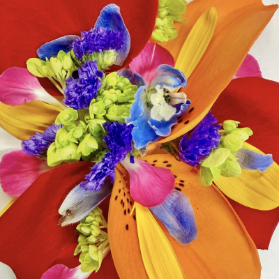 Bright & Colorful