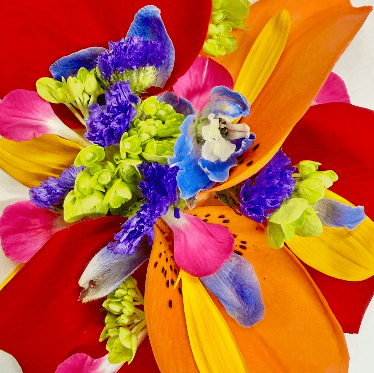 Bright & Colorful