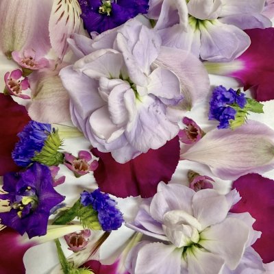 Shades of Purple