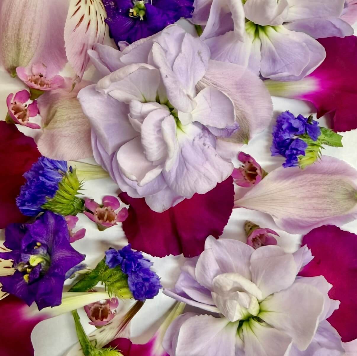 Shades of Purple