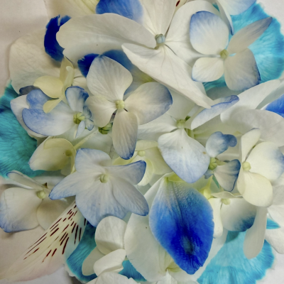 Blue & White